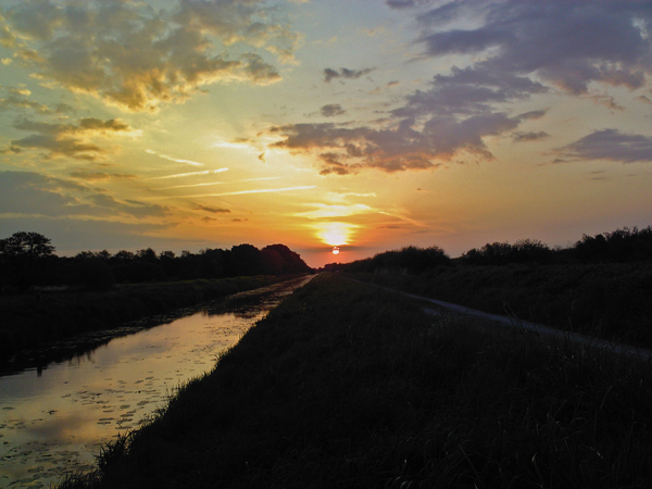 Shapwick Heath NNR