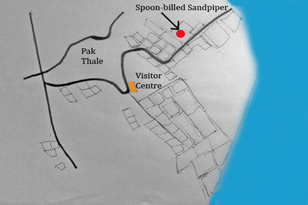Spoon-billed Sandpiper map